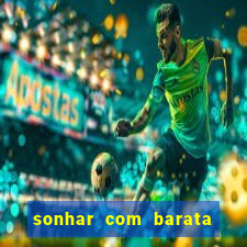 sonhar com barata no jogo do bicho